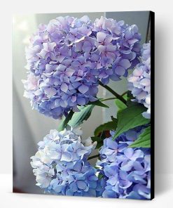 Happily Hydrangea Paint By Number