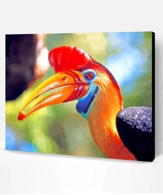 Hornbill Bird Animal Paint By Number