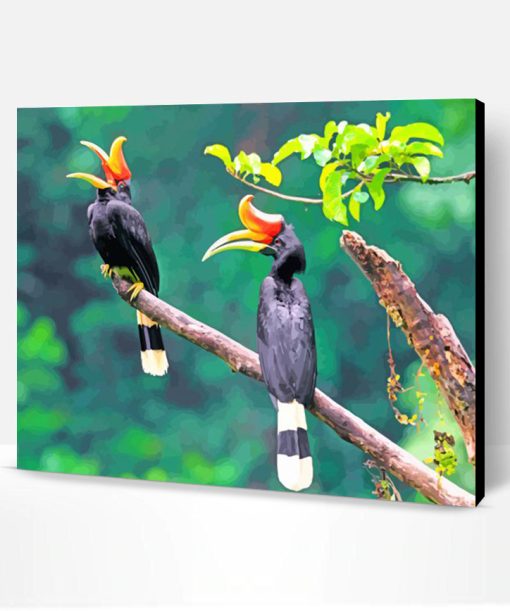 Hornbill Birds Paint By Number