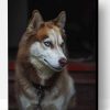 Brown Husky Paint By Numbers