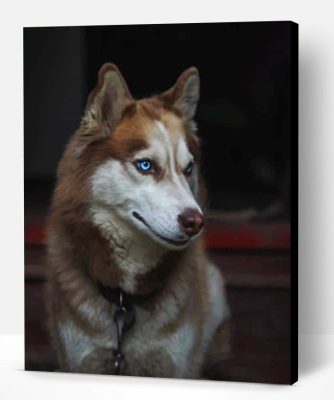 Brown Husky Paint By Numbers