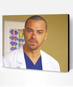 Jackson Greys Anatomy Paint By Number