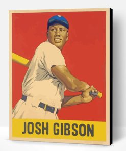 Josh Gibson Illustration Paint By Number
