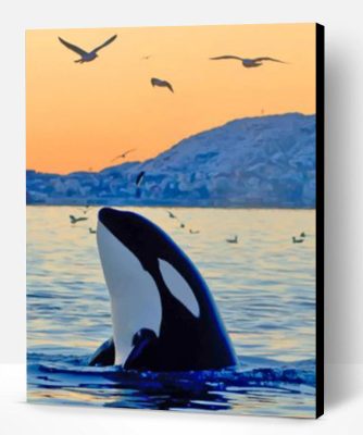 Killer Whale In The Ocean Paint By Number