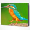 Kingfisher Standing On Rock Paint By Number