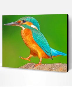 Kingfisher Standing On Rock Paint By Number