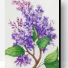 Lilac Flowers Paint By Number