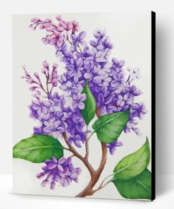 Lilac Flowers Paint By Number
