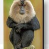 Lion Tailed Macaque Paint By Number