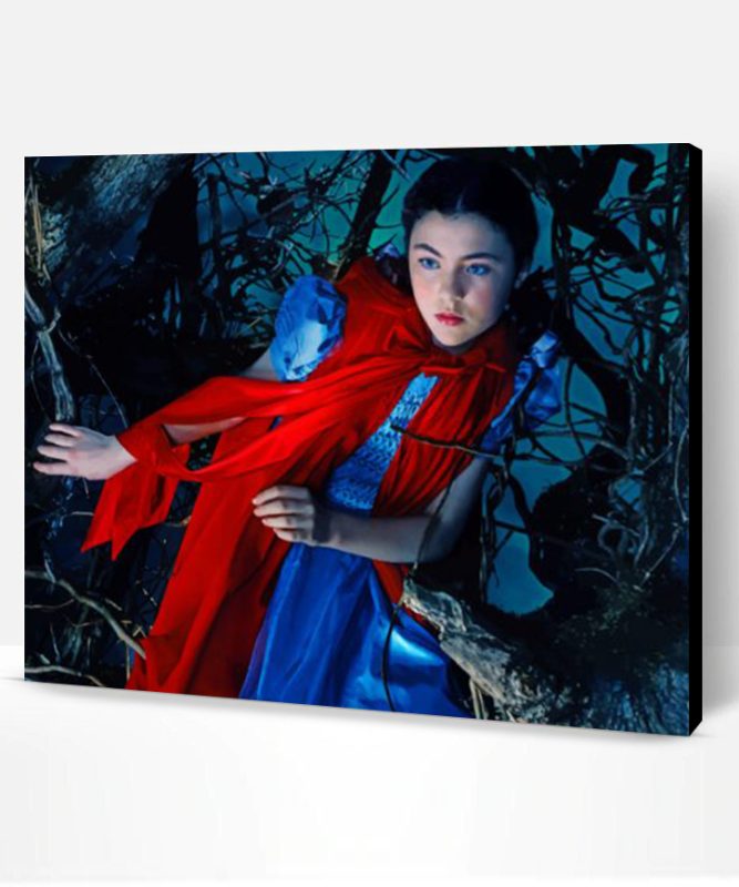 Little Red Riding Hood Paint By Number