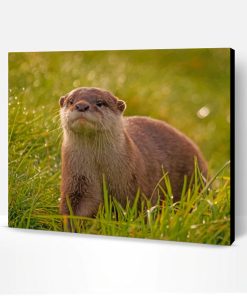 Lone Otter Paint By Number