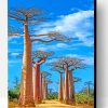 Madagascar Baobabs Trees Paint By Number
