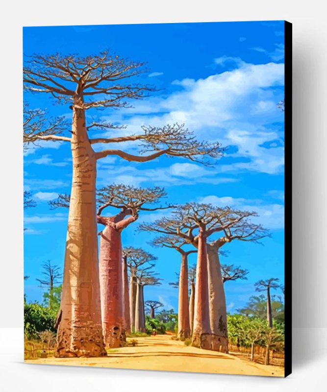 Madagascar Baobabs Trees Paint By Number
