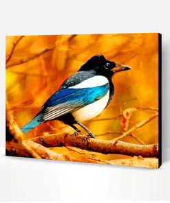 Magpie Bird Animal Paint By Number