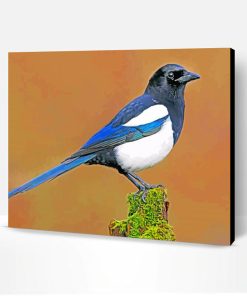Magpie Paint By Number