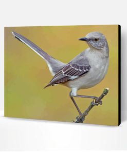 Mockingbird Bird Paint By Number