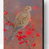 Mourning Dove Paint By Number