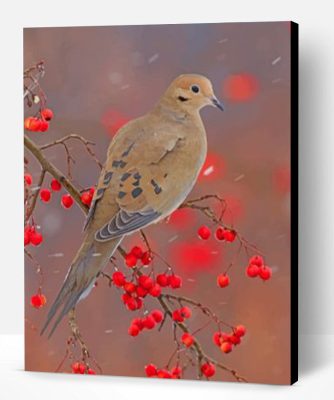 Mourning Dove Paint By Number