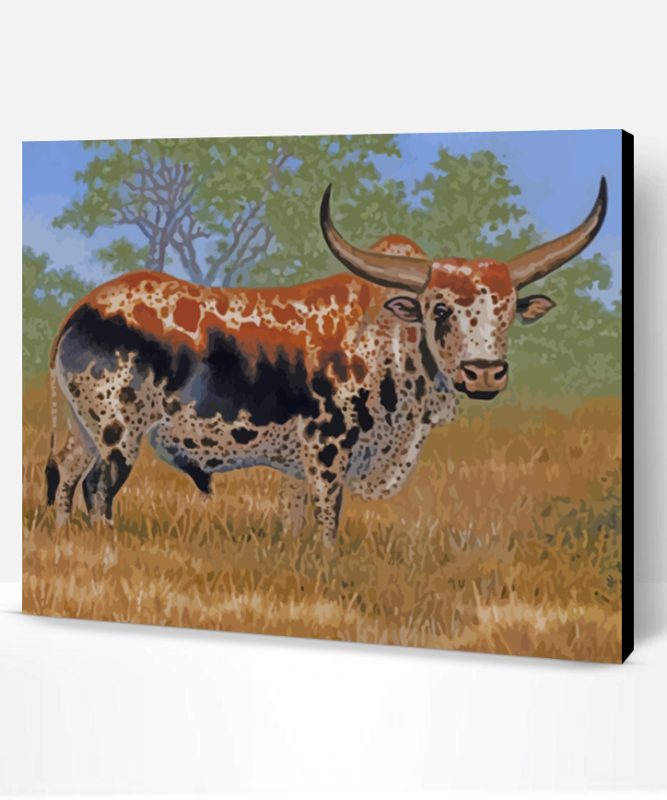 Nguni Bull Paint By Number