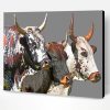 Nguni Cattle Paint By Number