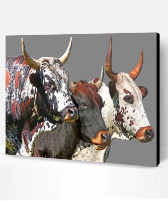 Nguni Cattle Paint By Number