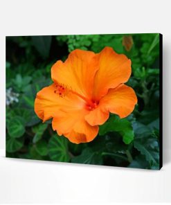 Orange Hibiscus Flower Paint By Number