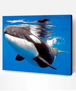 Orca Whale Paint By Number
