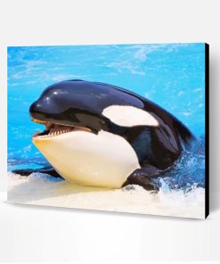 Orca Whale Paint By Number