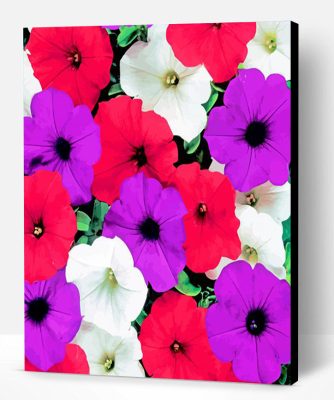 Petunia Flowering Plants Paint By Number