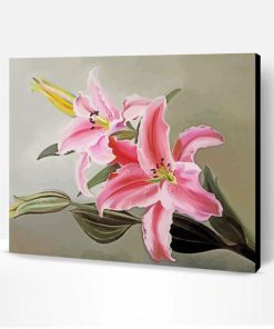Pink Lilies Paint By Number
