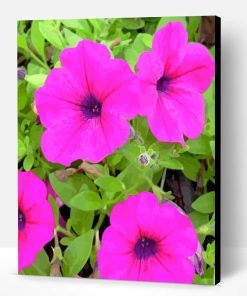 Pink Petunia Paint By Number