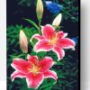 Pink Tiger Lilies Paint By Number
