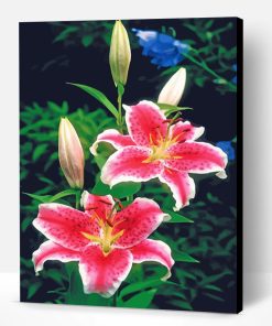 Pink Tiger Lilies Paint By Number
