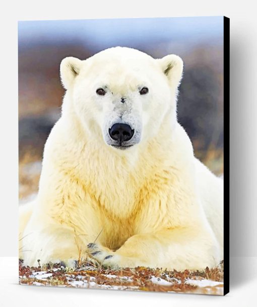 Polar Bear Paint By Number