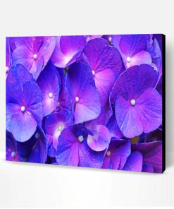 Purple Hydrangea Paint By Number