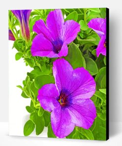Purple Petunia Paint By Number