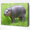Pygmy Hippopotamus Animal Paint By Number