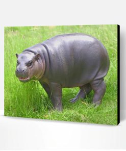 Pygmy Hippopotamus Animal Paint By Number
