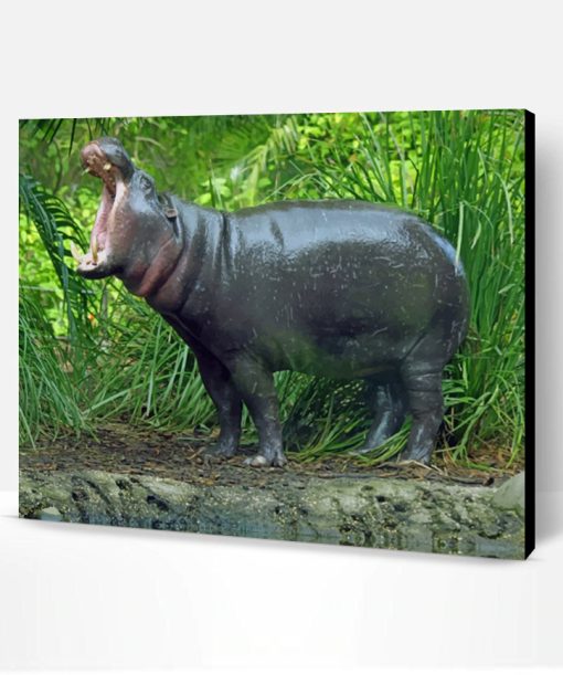 Pygmy Hippopotamus With Opened Mouth Paint By Number