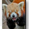Red Panda Smile Paint By Number