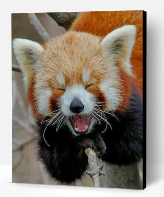 Red Panda Smile Paint By Number