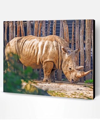 Rhinoceros In Zoo Paint By Number