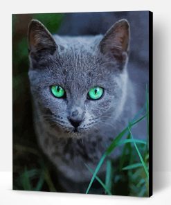 Russian Blue Cat Pet Paint By Number