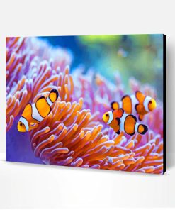 Sea Anemones Paint By Number