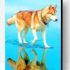 Siberian Brown Husky Paint By Number