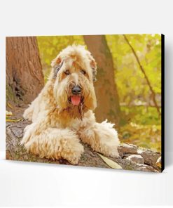 Soft Coated Wheaten Terrier Paint By Number
