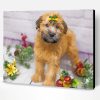 Soft Coated Wheaten Terrier Pet Paint By Number