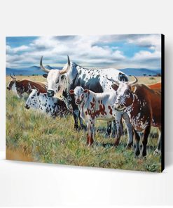 South Africa Nguni Paint By Number