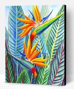 Strelitzia Bird Of Paradise Paint By Number