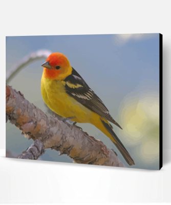 The Western Tanager Bird Paint By Number